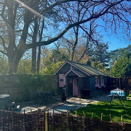 Tiny Romantic Retreat With Hot Tub On A Country Estate Near Cardigan Bay In Eryri Snowdonia Ланбедър Екстериор снимка
