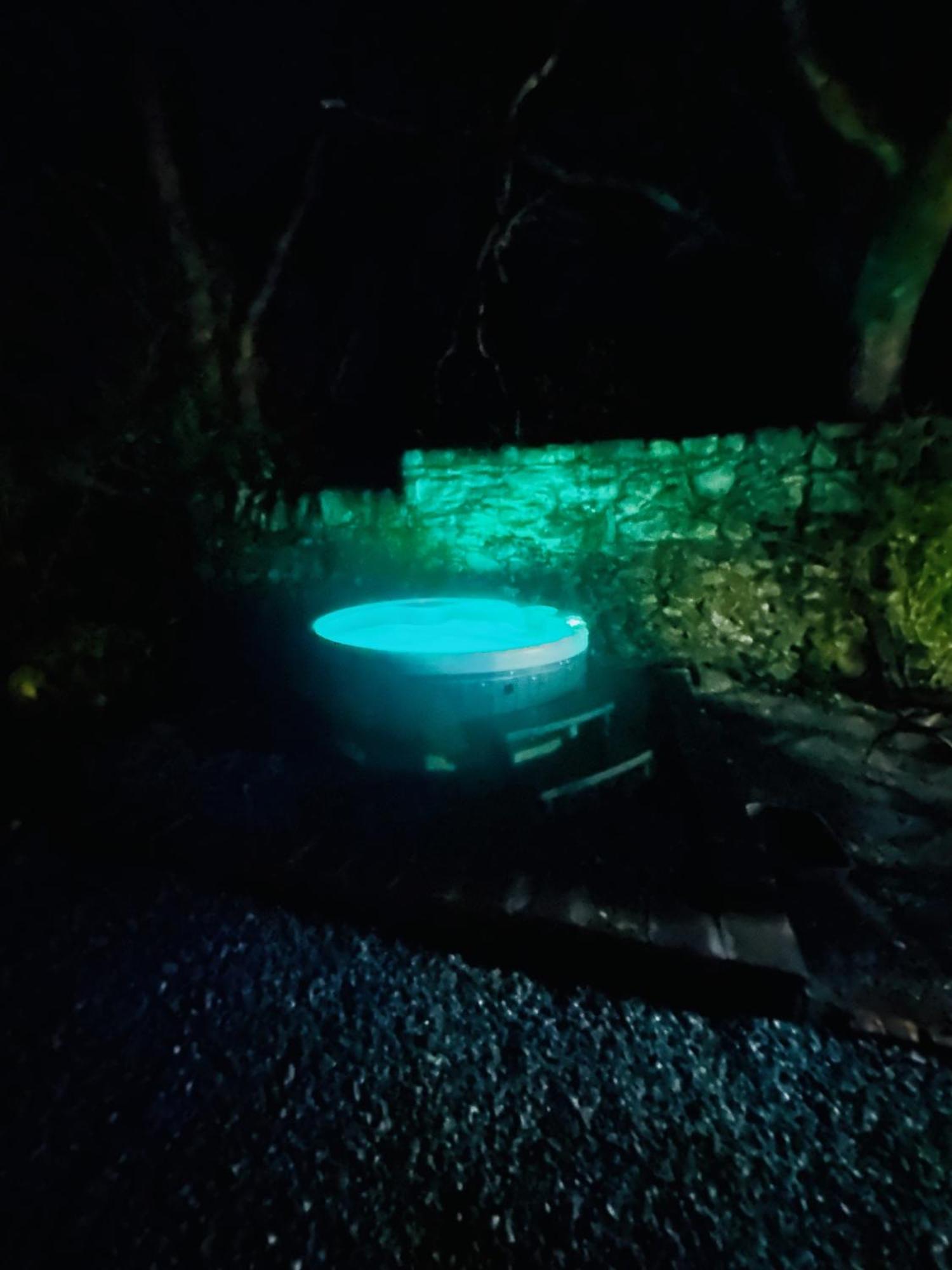 Tiny Romantic Retreat With Hot Tub On A Country Estate Near Cardigan Bay In Eryri Snowdonia Ланбедър Екстериор снимка