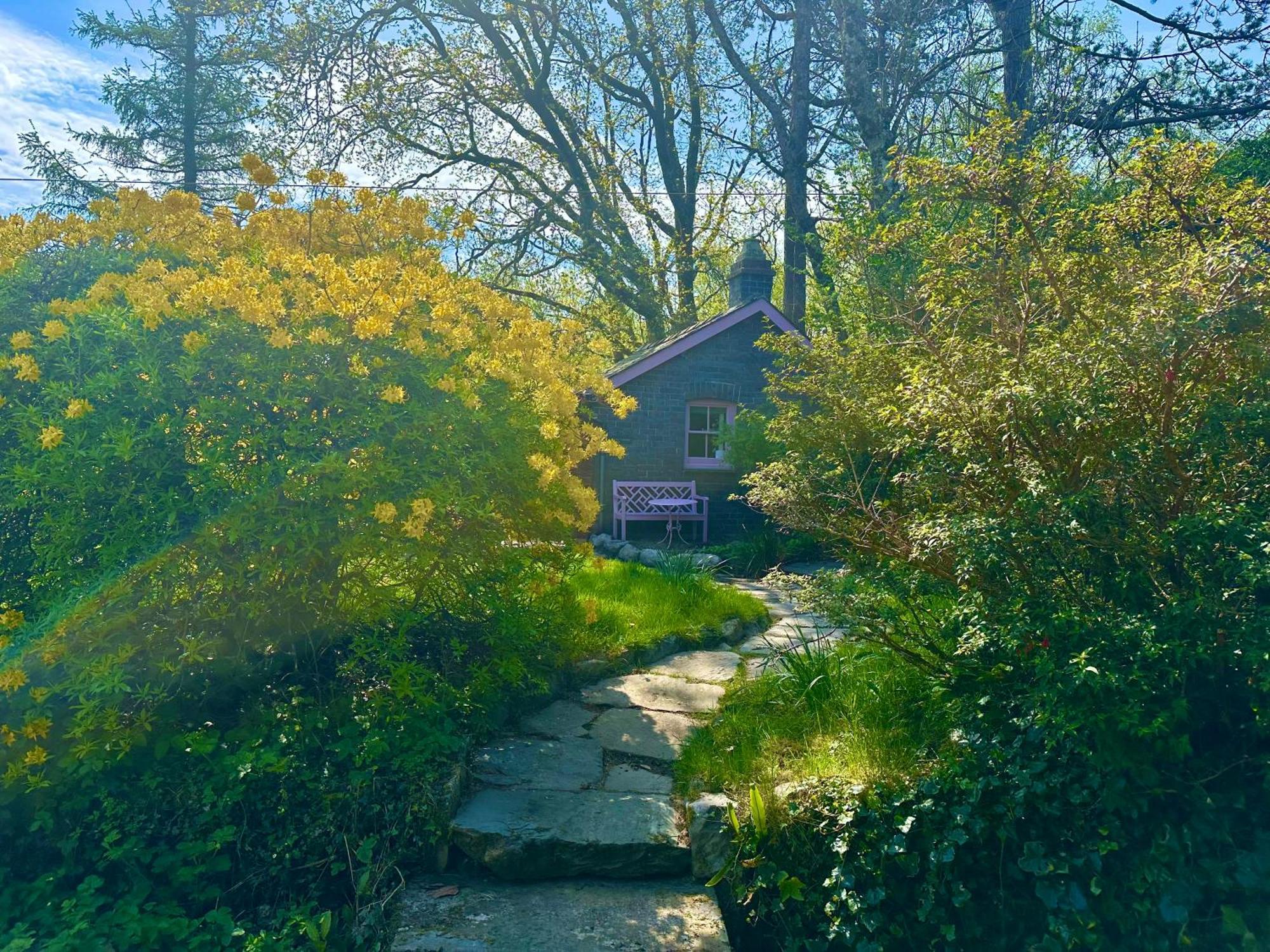 Tiny Romantic Retreat With Hot Tub On A Country Estate Near Cardigan Bay In Eryri Snowdonia Ланбедър Екстериор снимка